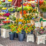 Jaarmarkt ter gelegenheid van de viering van ‘750 jaar Zoeterwoude’