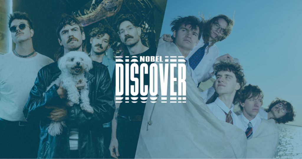 Discover: Ronker + Grote Geelstaart in Leiden
