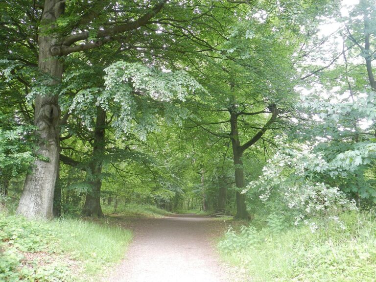 Wandel Eropuit — Natuur in Leiden