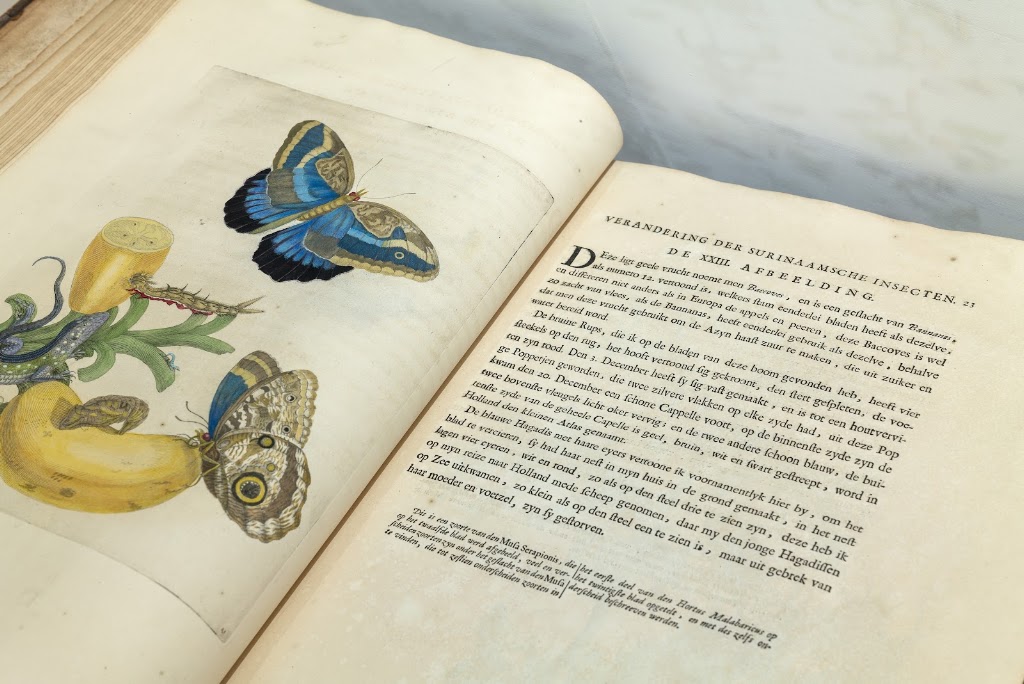 College op zondag: Getekende natuur. Over Clusius en Maria Sibylla Merian in Leiden