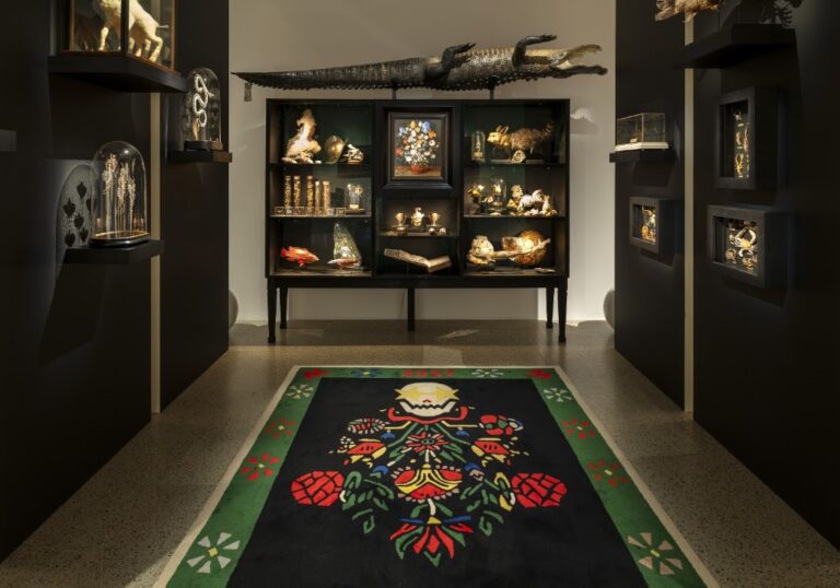 Lakenhal Laat: Over Wunderkammers en verzamelaars (Tuin der Lusten met o.a. Ramsey Nasr) — museum-expo in Leiden